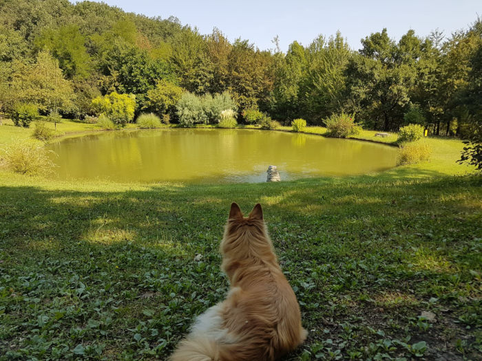 Giornata Yoga